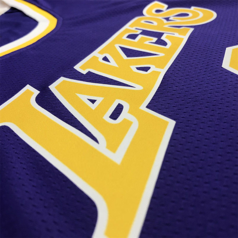 NBA Los Angeles Lakes Round neck Purple Jersey JAMES#6 S-XXL