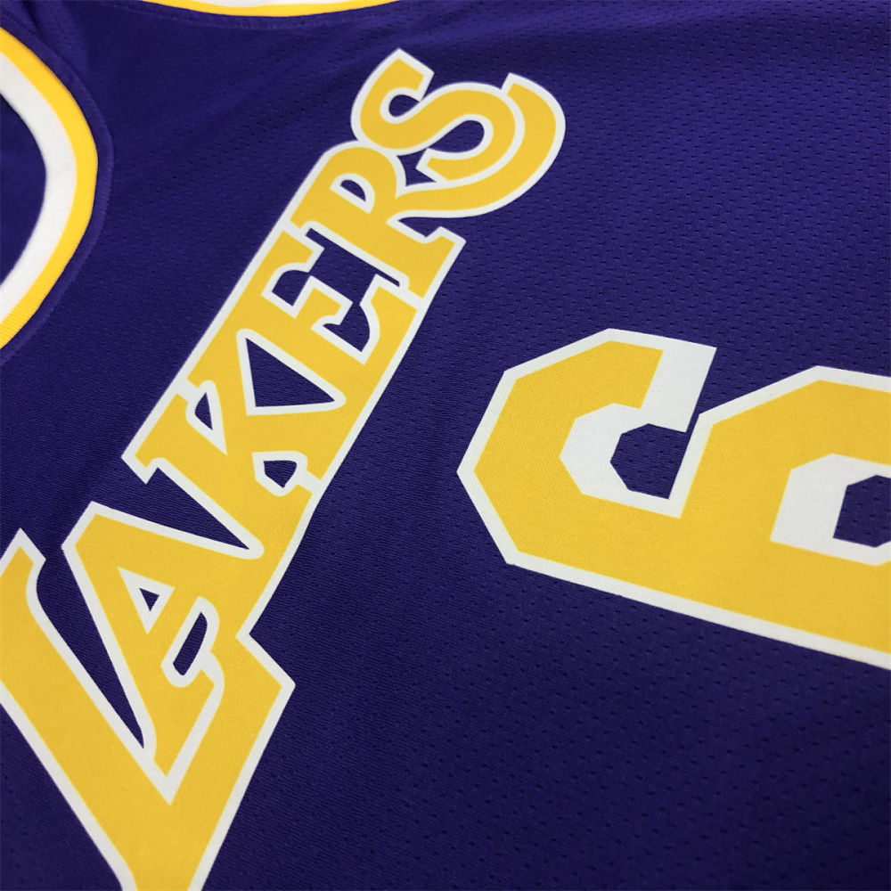 NBA Los Angeles Lakes Round neck Purple Jersey JAMES#6 S-XXL