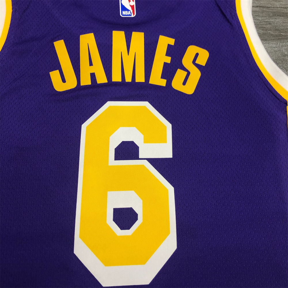 NBA Los Angeles Lakes Round neck Purple Jersey JAMES#6 S-XXL