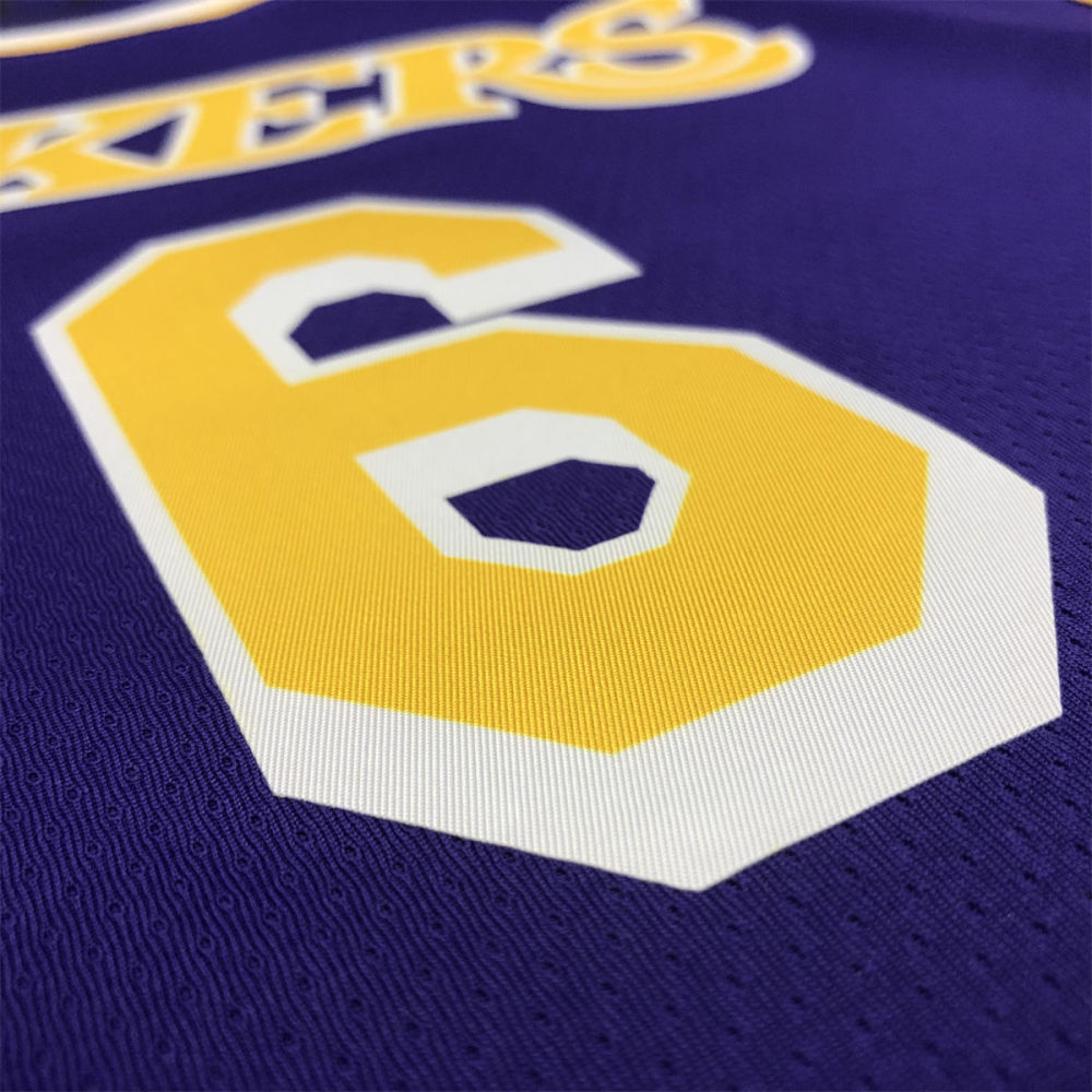NBA Los Angeles Lakes Round neck Purple Jersey JAMES#6 S-XXL