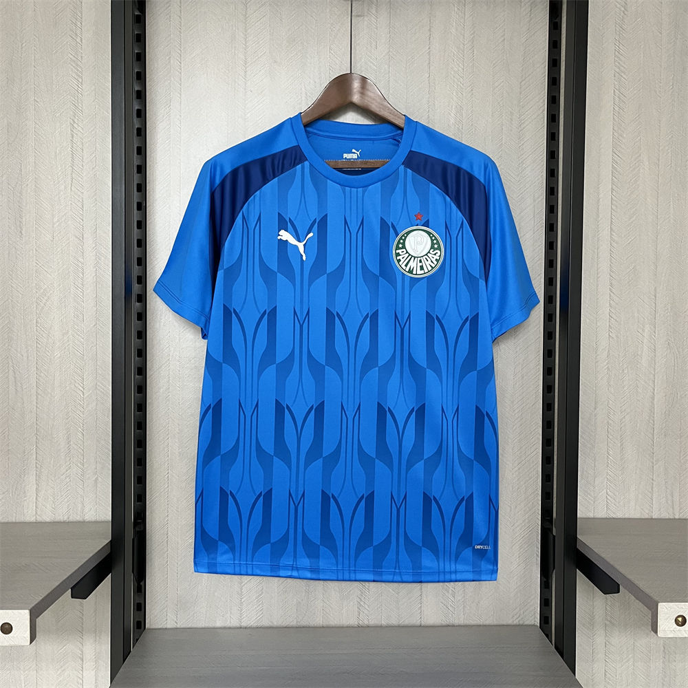 2024/25 Palmeiras Blue Pre-Match Training jersey Fan Version