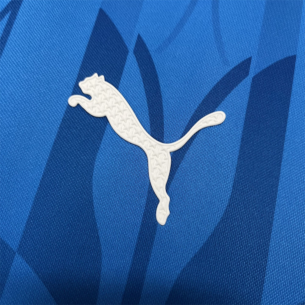 2024/25 Palmeiras Blue Pre-Match Training jersey Fan Version