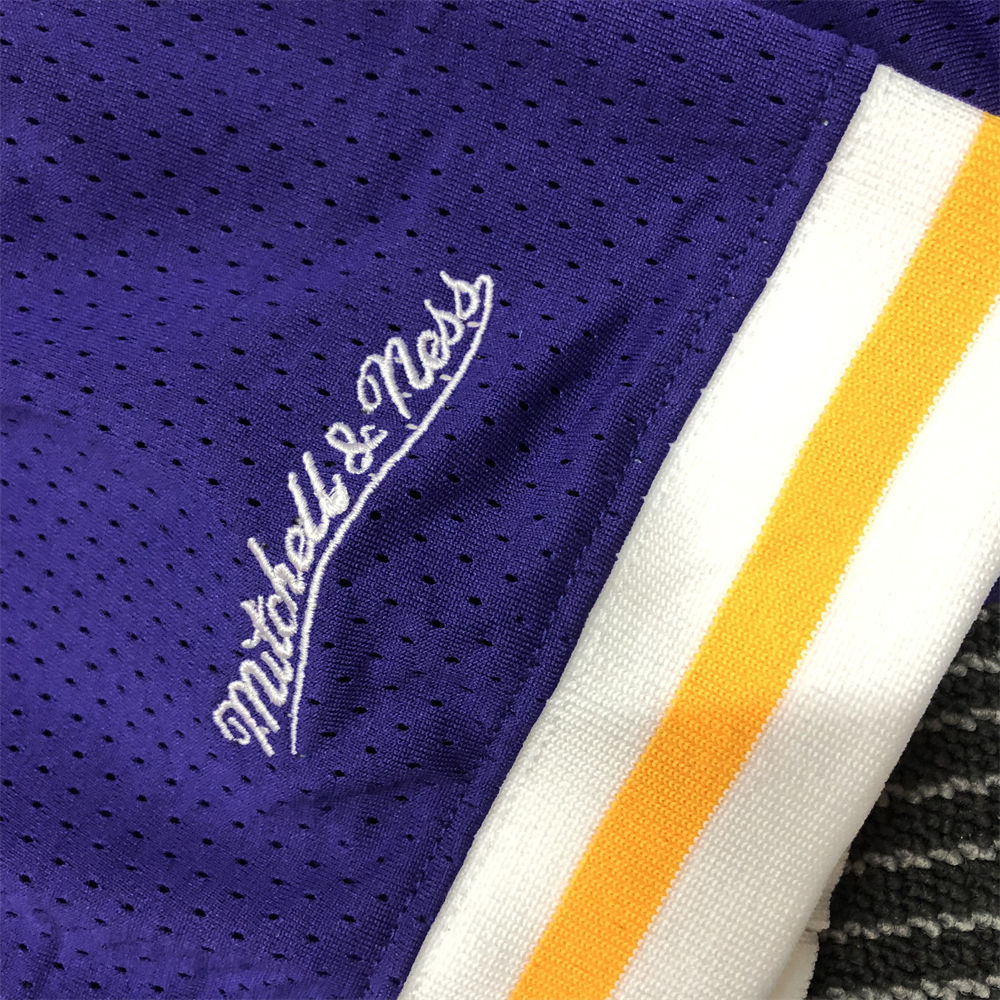 NBA Los Angeles Lakers Mitchellness Jersey Purple BRYANT#8 S-XXL