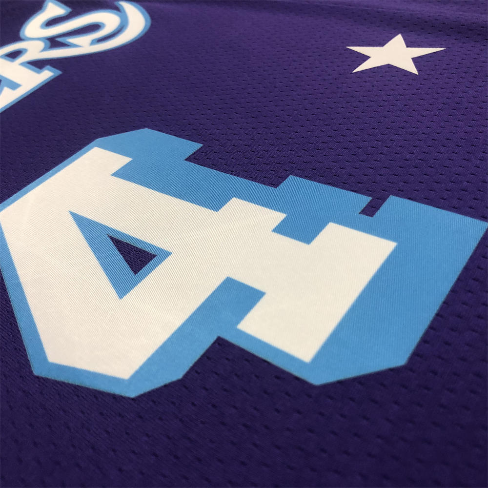 NBA Los Angeles Lakes Round Neck 75th anniversary Purple Jersey RANDO#4 S-XXL