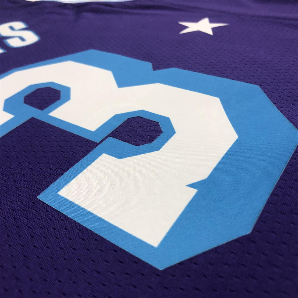 NBA Los Angeles Lakes Round Neck 75th anniversary Purple Jersey DAVIS#3 S-XXL