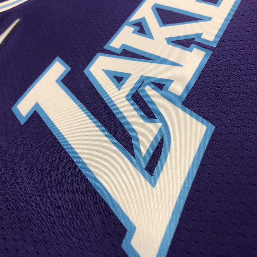NBA Los Angeles Lakes Round Neck 75th anniversary Purple Jersey DAVIS#3 S-XXL