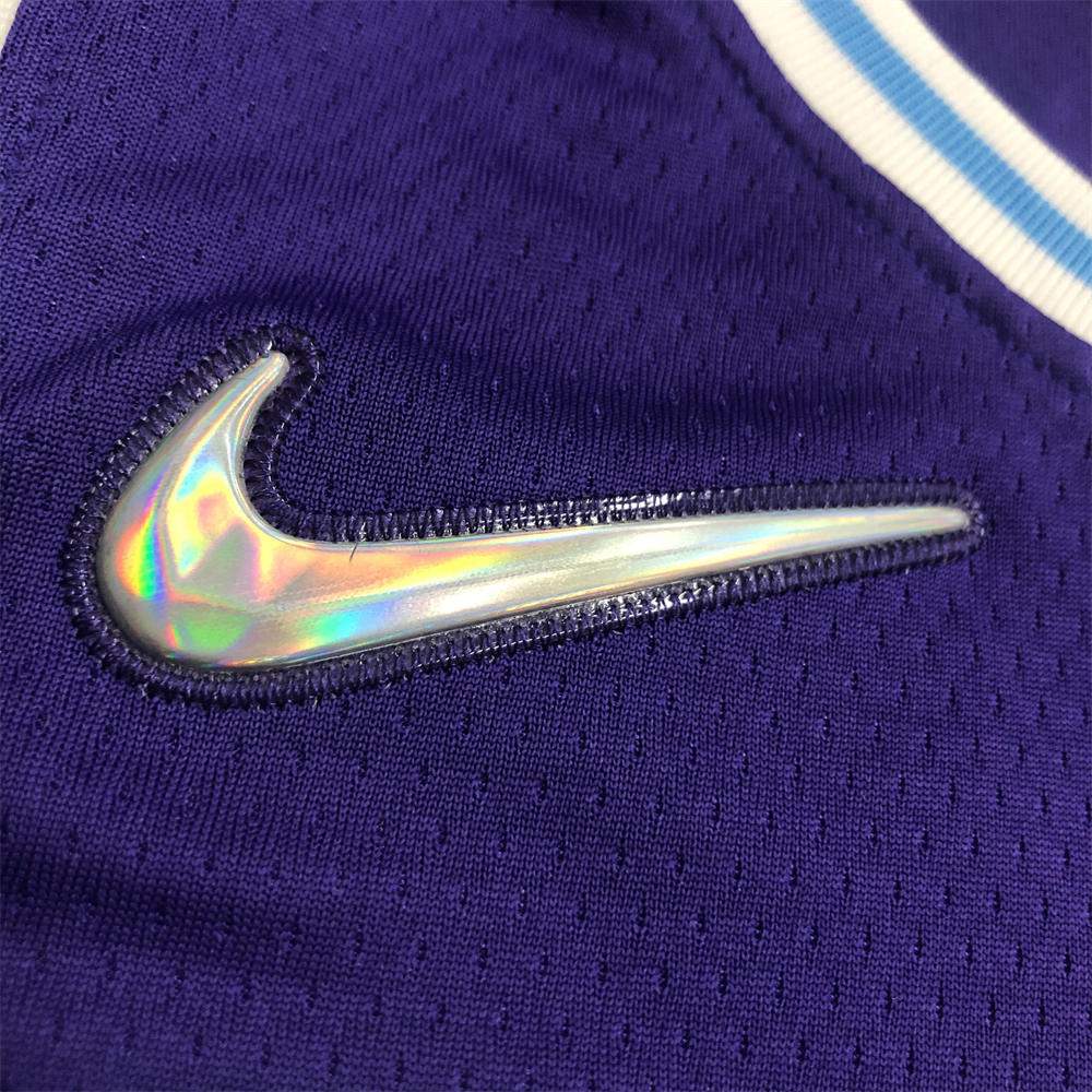 NBA Los Angeles Lakes Round Neck 75th anniversary Purple Jersey DAVIS#3 S-XXL
