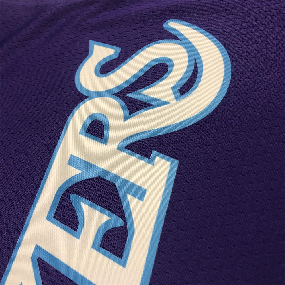NBA Los Angeles Lakes Round Neck 75th anniversary Purple Jersey DAVIS#3 S-XXL