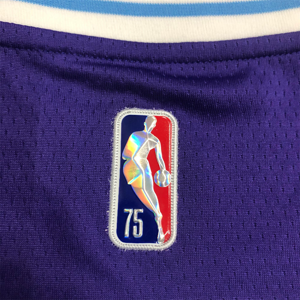 NBA Los Angeles Lakes Round Neck 75th anniversary Purple Jersey DAVIS#3 S-XXL