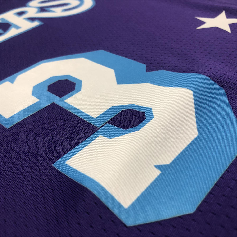 NBA Los Angeles Lakes Round Neck 75th anniversary Purple Jersey DAVIS#3 S-XXL