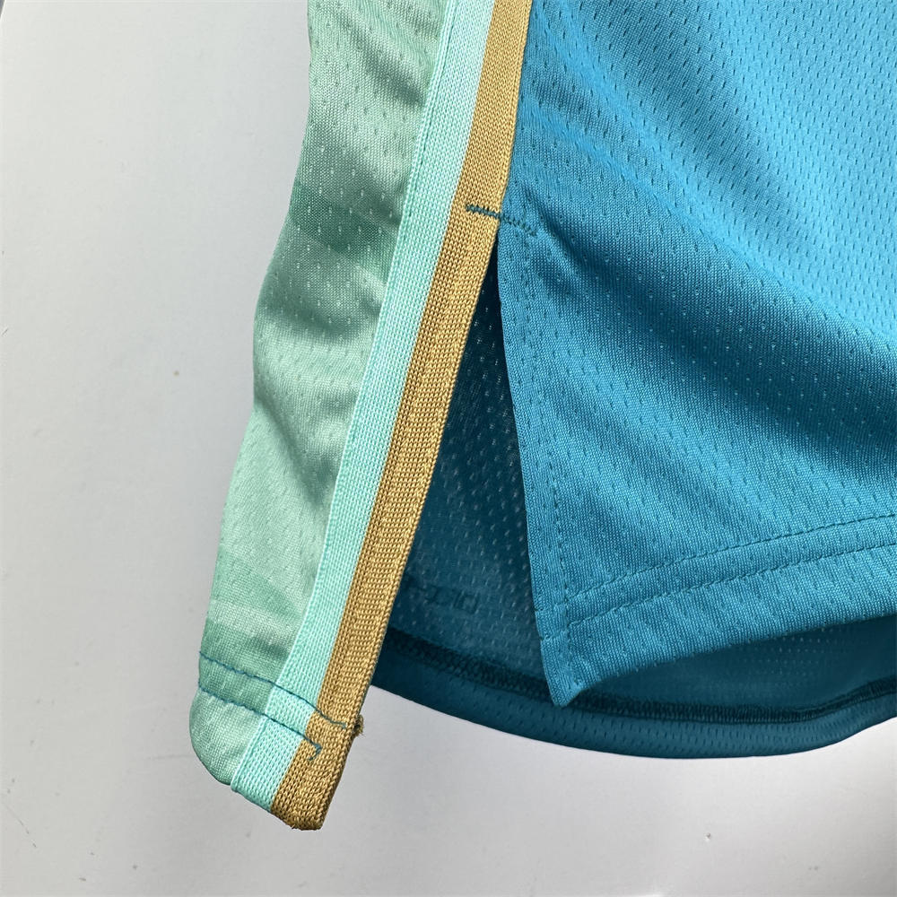 NBA Charlotte Hornets 2024 City Edition V-Neck Jersey BALL#1 S-XXL