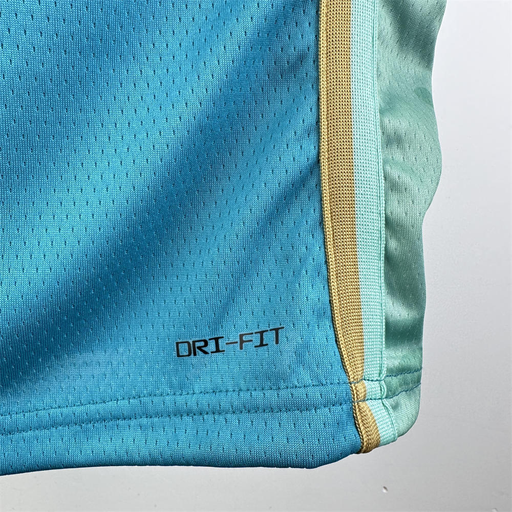 NBA Charlotte Hornets 2024 City Edition V-Neck Jersey BALL#1 S-XXL