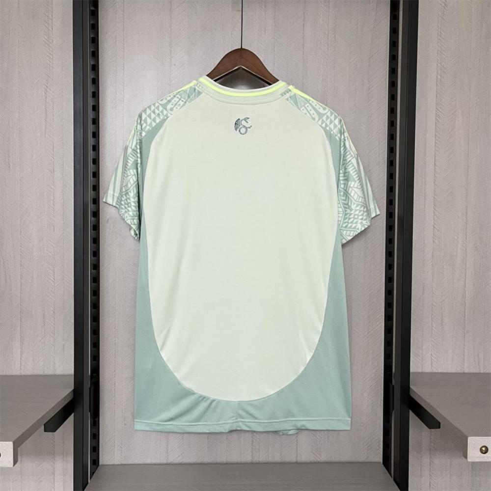 24/25 Mexico Away Jersey Fan Version