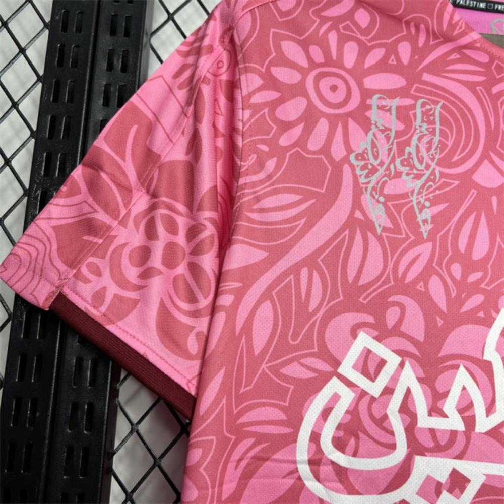2023/24 CD Palestino Pink training pre-match training Jersey Fan Version