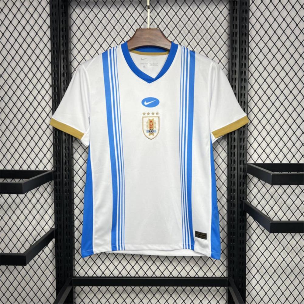 2024/25 Uruguay Pre-match training Jersey Fan Version