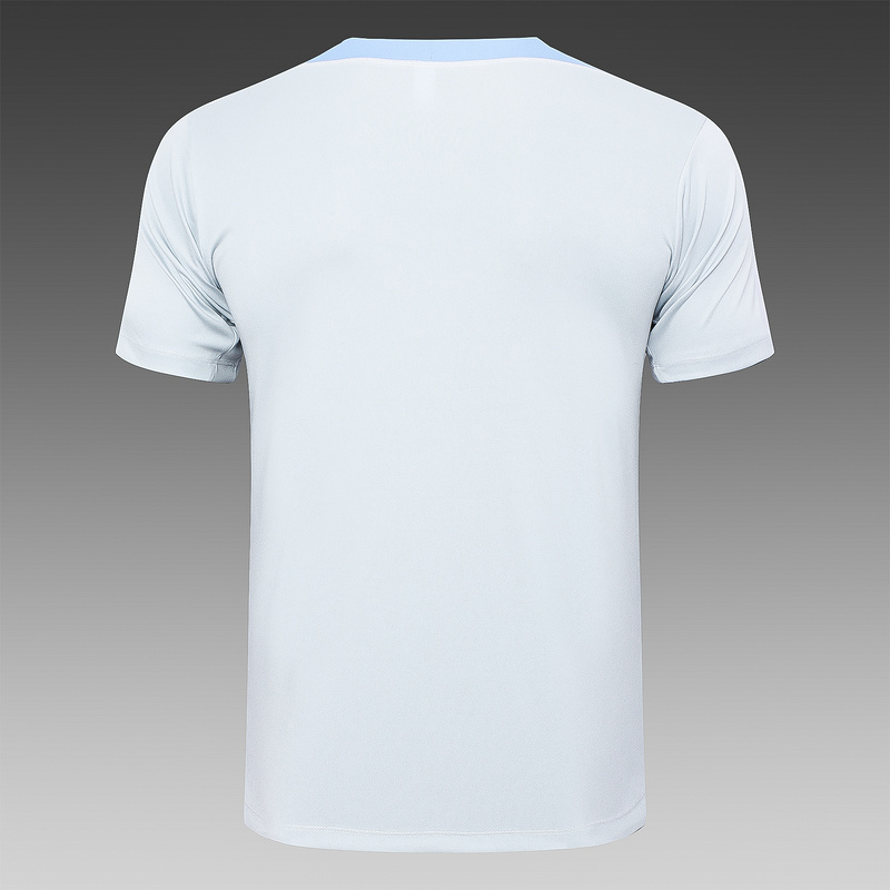 24/25 Tottenham light gray Training Set Shirt and Shorts