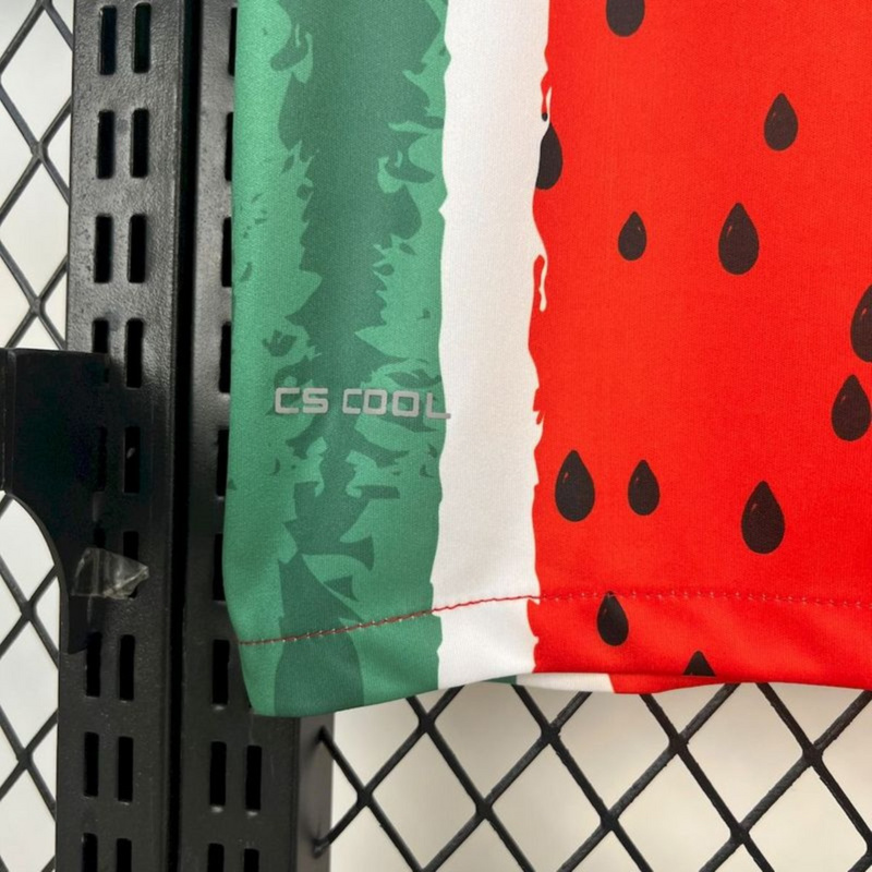 2025/26 CD Palestino Fourth Away Jersey Fan Version