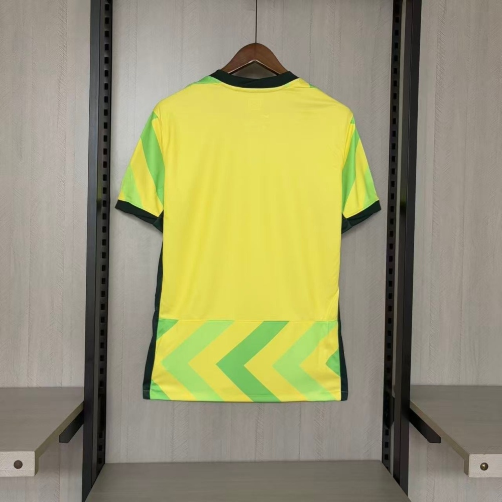 25/26 Australia Home Jersey Fan Version