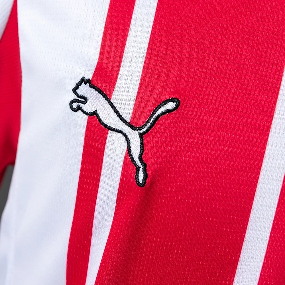 2025/26 Southampton Home jersey Fan Version