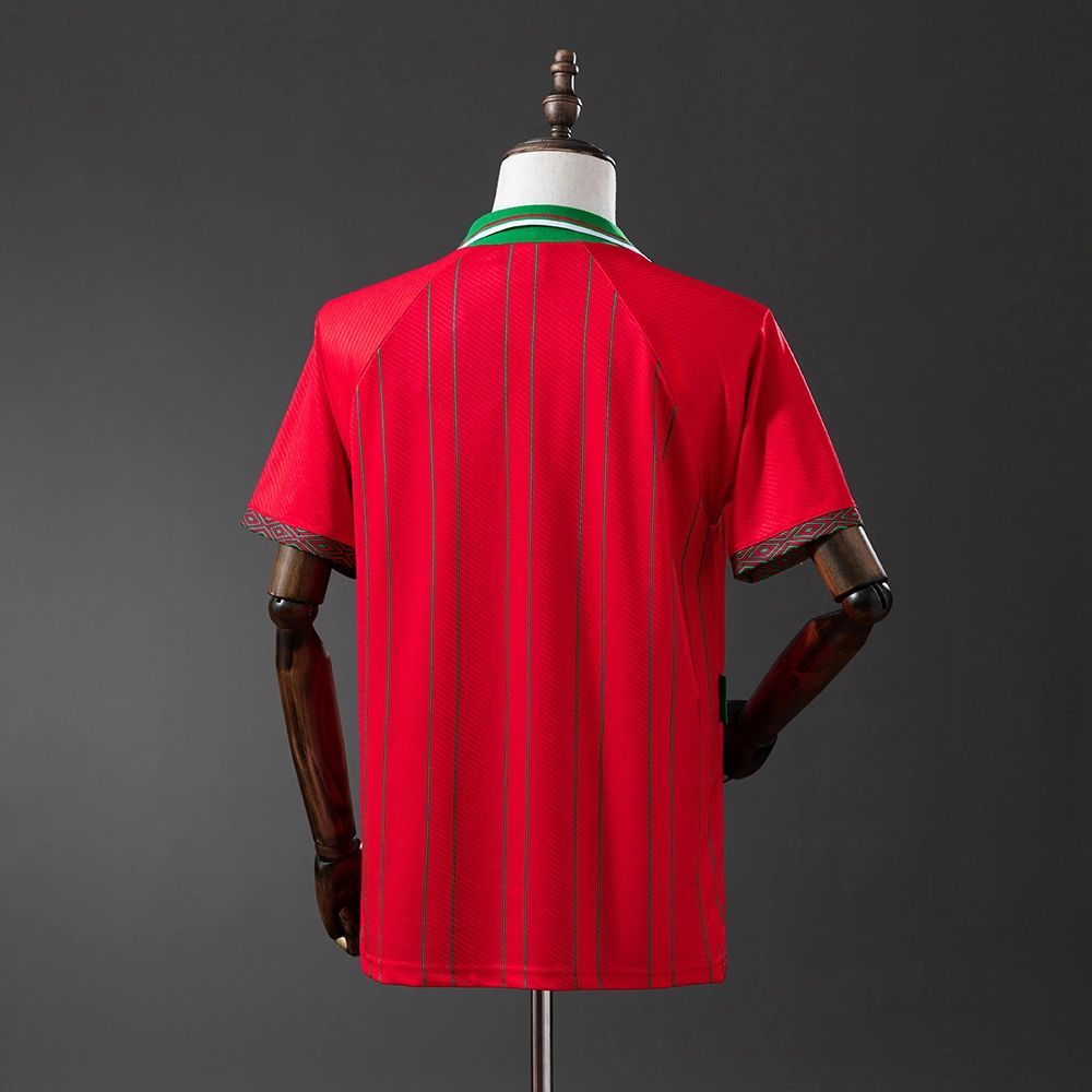 Retro Wales 1994/96 Home jersey Fan Version