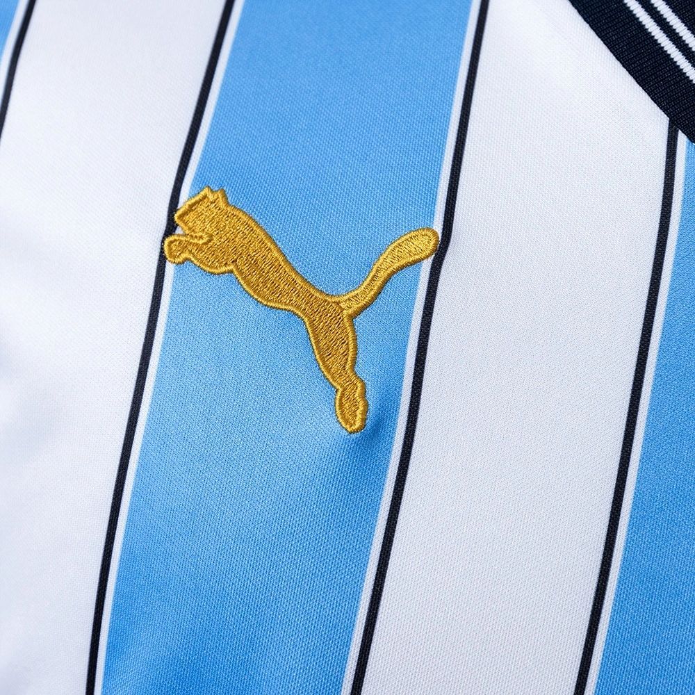 Retro 2011/12 Coventry 25th Home jersey Fan Version