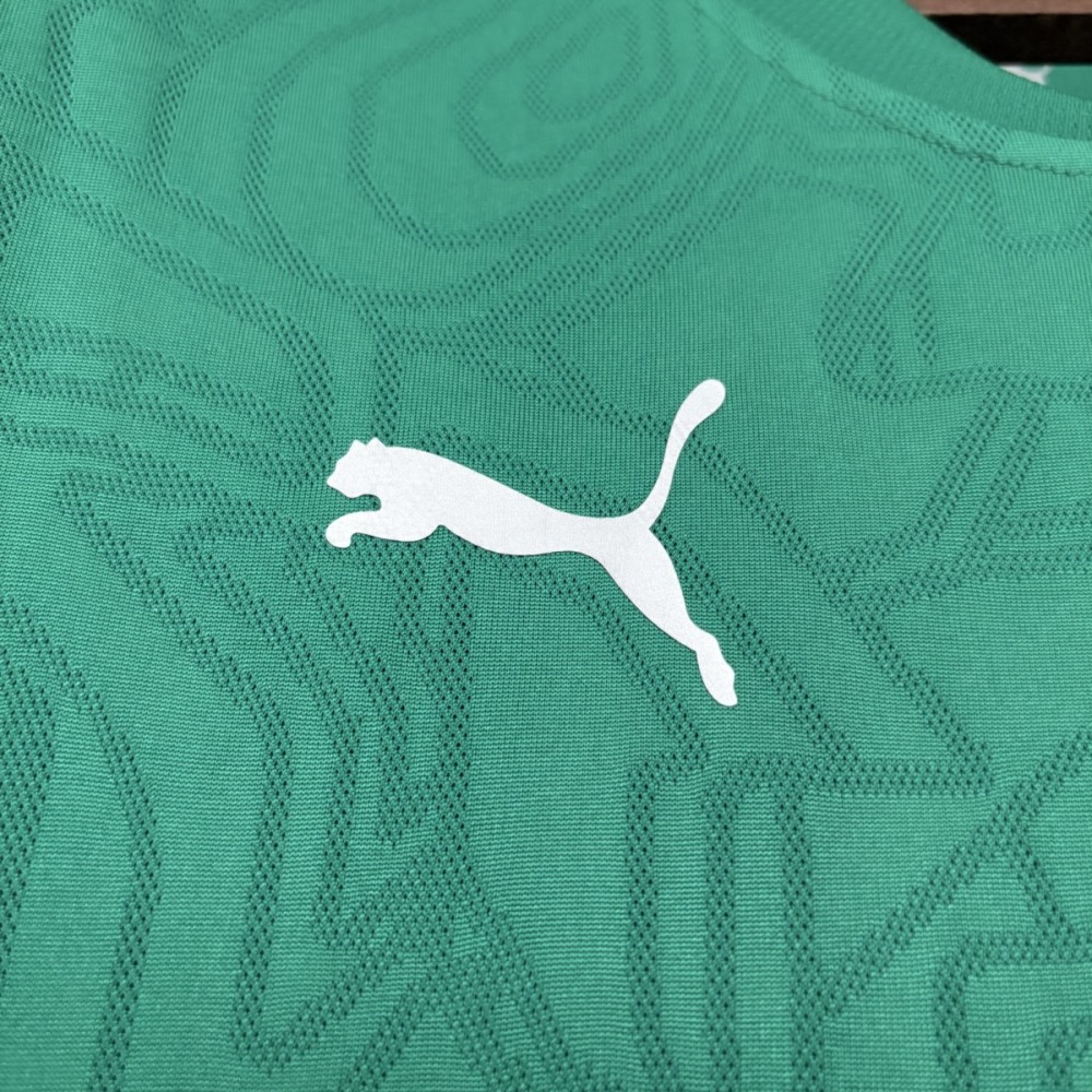 2026/27 Fluminense Training Green Jersey Fan Version