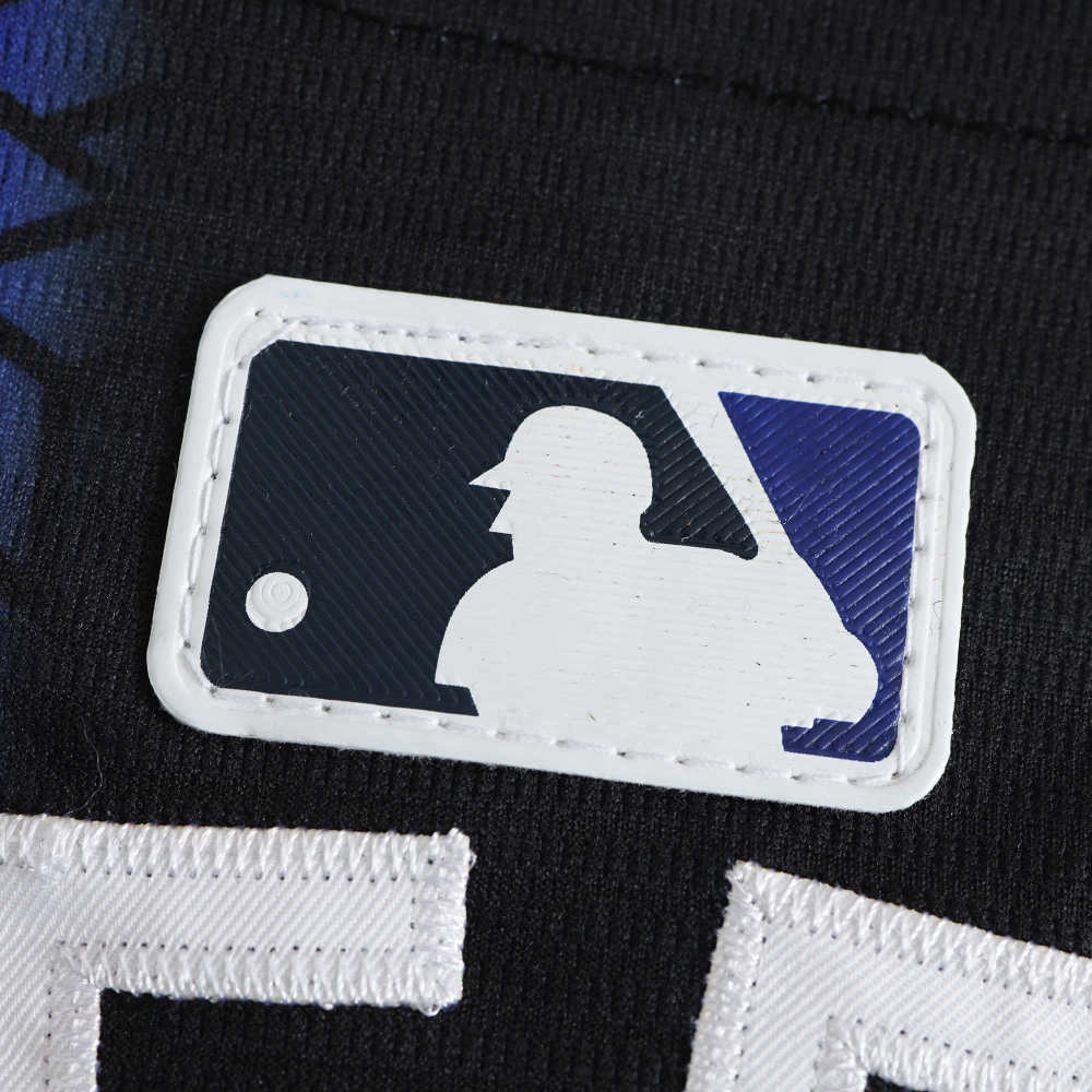 MLB Detroit Tigers Black and Black Jesrey