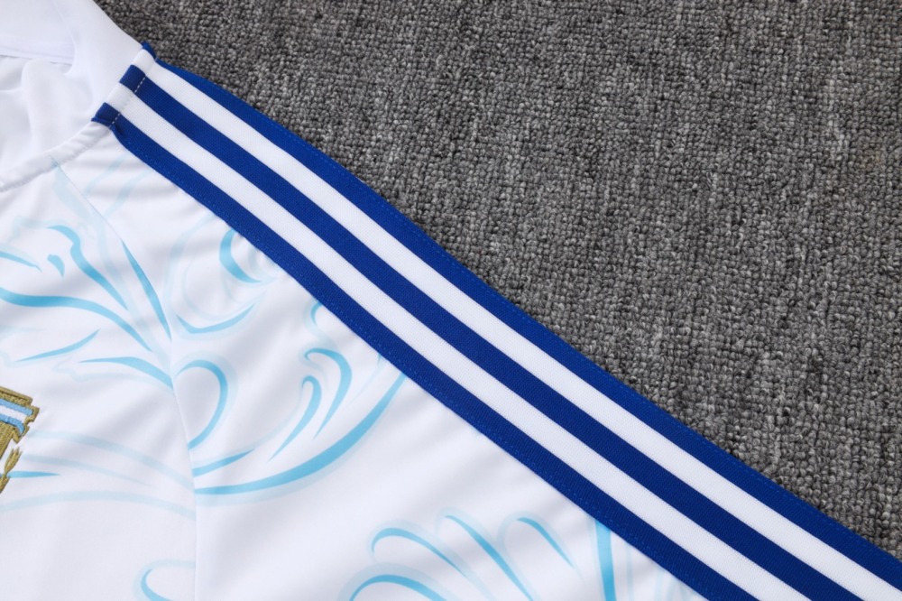 2026 Argentina White Long-sleeved half-pull training kit