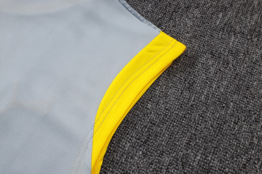 2026 Dortmund Light gray Training Set Shirt and Shorts