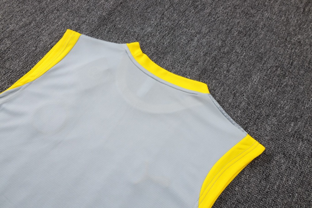 2026 Dortmund Light gray Training Set Shirt and Shorts