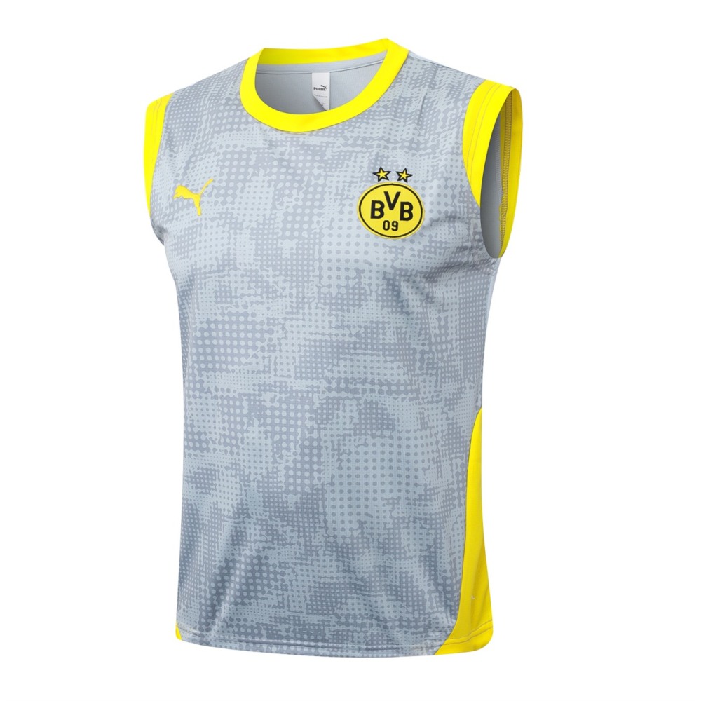 2026 Dortmund Light gray Training Set Shirt and Shorts