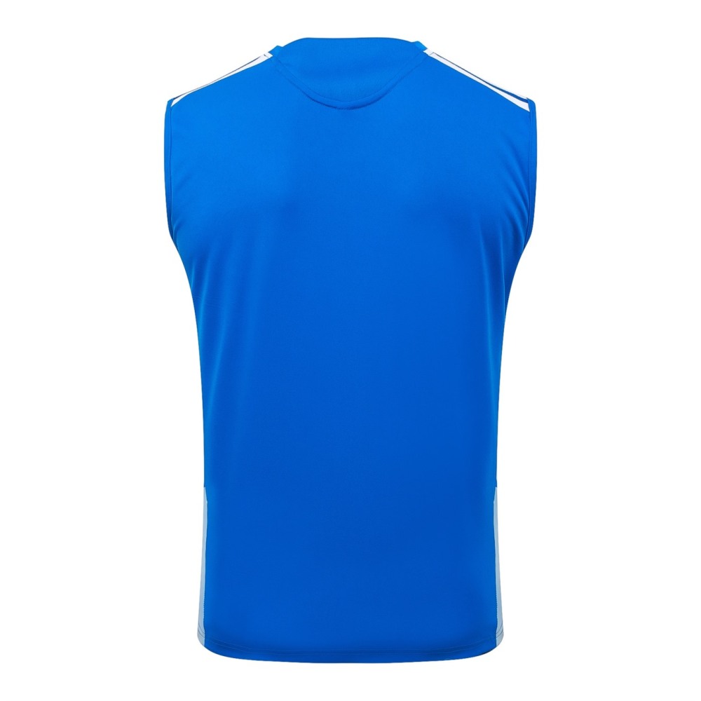 2026 Cruzeiro Colorful Blue Training Set Shirt and Shorts