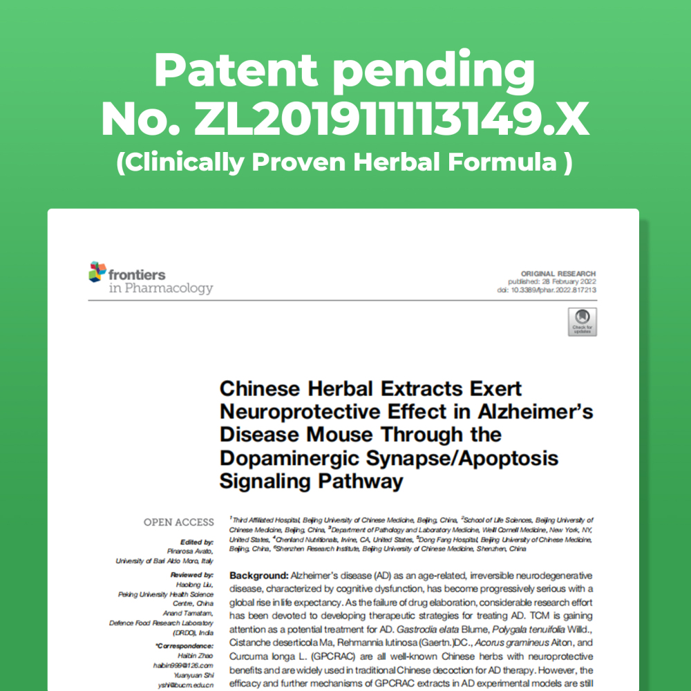 Brain Health Supplements with Magnesium Complex & Vitamin B6 B12, Turmeric Extract Curcumin - Supports Memory, Focusv