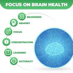 Brain Health Supplements with Magnesium Complex & Vitamin B6 B12, Turmeric Extract Curcumin - Supports Memory, Focusv