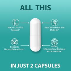 Natural Purge Uric Acid Flush, Support Uric Acid Cleanse and Balance, Joints and Mobility, Tart Cherry, Celery Seed and Eucommia Leaf Extract, Feet and Joint Support Supplement, 60 Capsules