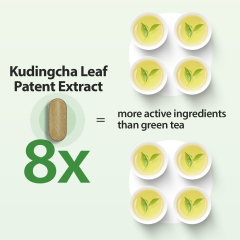 PureBotan Fat Burner for Women and Men, Weight Loss Supplements with Kudingcha Extract, Citrus Fiber, Vitamin B6 and Vitamins B12, Metabolism Support, Fat Burning Diet Pills, 90 Tablets