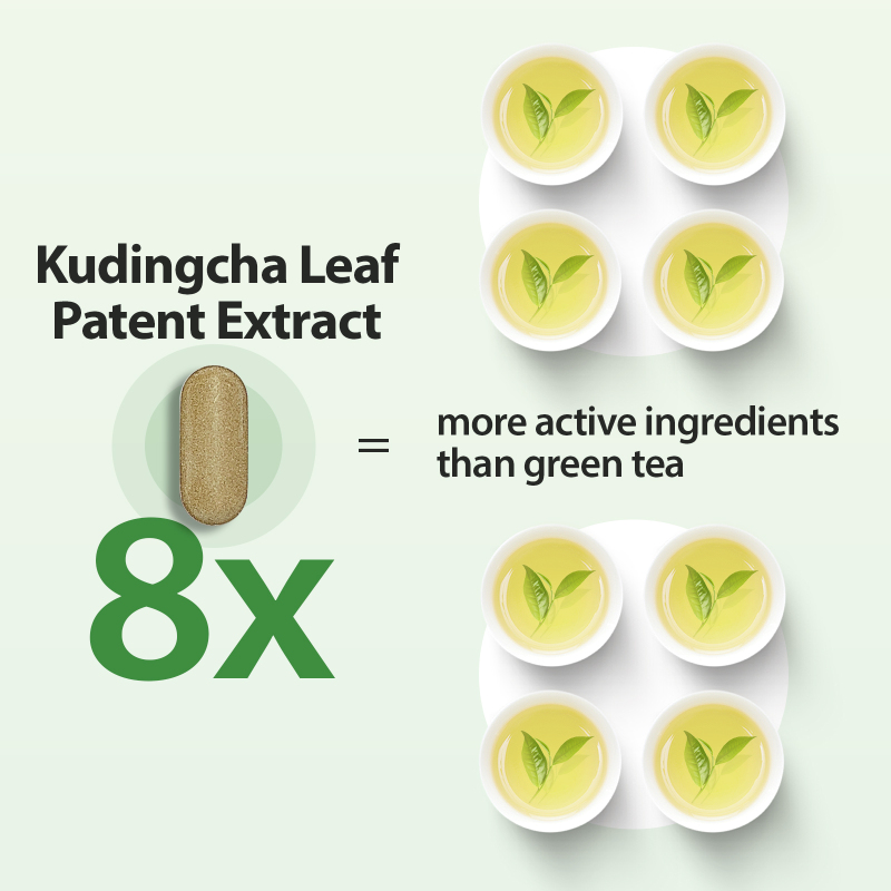 PureBotan Fat Burner for Women and Men, Weight Loss Supplements with Kudingcha Extract, Citrus Fiber, Vitamin B6 and Vitamins B12, Metabolism Support, Fat Burning Diet Pills, 90 Tablets