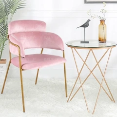 Dining room chair hotel luxury dinner chair Red velvet coffee shop chair,Dining room chair hotel luxury dinner chair Red velvet coffee shop chair,DAILY UP FURNITURE-The professional supplier of School Furniture, Office Furniture, Home Furnirure