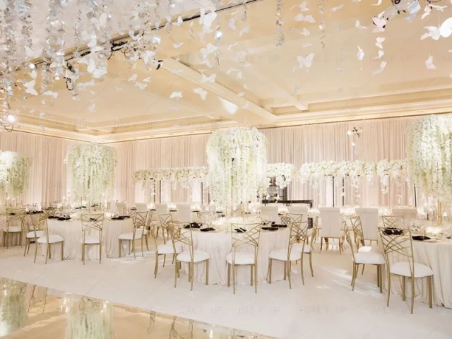 Cross Back Chiavari Chameleon Chair For Wedding Stackable Luxury Hotel Banquet Dining Chair For Wedding event,Cross Back Chiavari Chameleon Chair For Wedding Stackable Luxury Hotel Banquet Dining Chair For Wedding event,DAILY UP FURNITURE-The professional supplier of School Furniture, Office Furniture, Home Furnirure