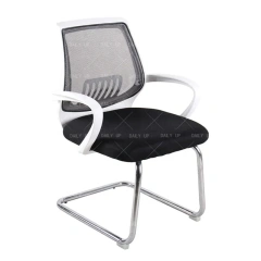 Sled Mesh Office Chair With Chromed Metal Legs Breathable And Ergonomic Computer Chair With Armrests For Meeting And Conference,Sled Mesh Office Chair With Chromed Metal Legs Breathable And Ergonomic Computer Chair With Armrests For Meeting And Conference,DAILY UP FURNITURE-The professional supplier of School Furniture, Office Furniture, Home Furnirure