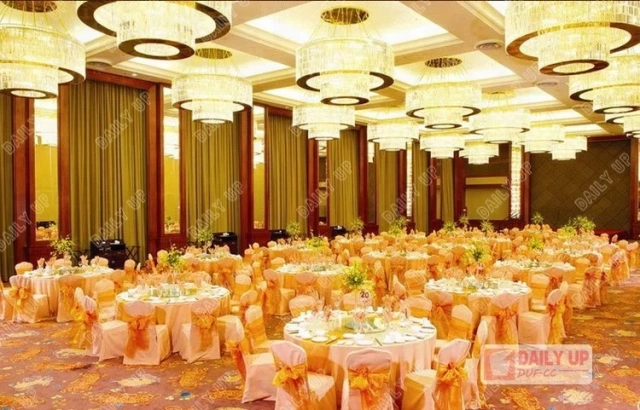 Aluminium Hotel Dining Chair New Design Restaurant Tables and Chairs Philippine Export Products China Factory,Aluminium Hotel Dining Chair New Design Restaurant Tables and Chairs Philippine Export Products China Factory,DAILY UP FURNITURE-The professional supplier of School Furniture, Office Furniture, Home Furnirure