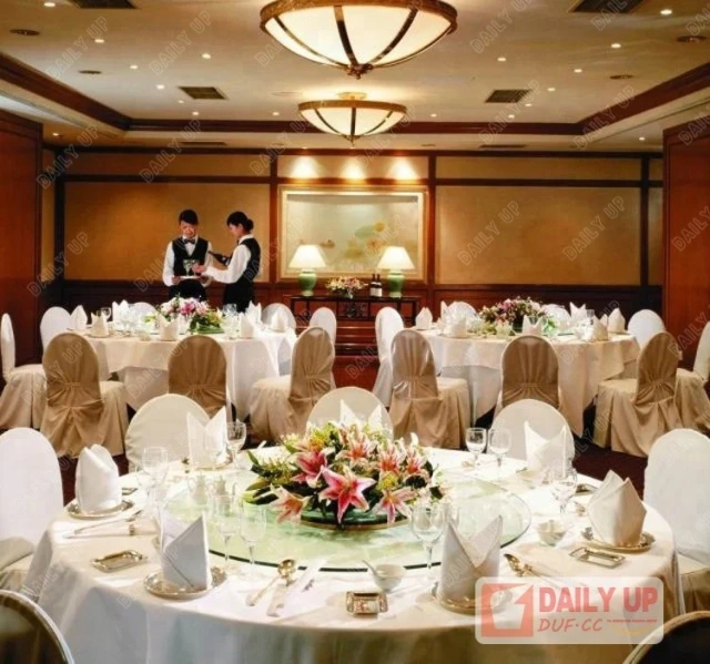 Aluminium Hotel Dining Chair New Design Restaurant Tables and Chairs Philippine Export Products China Factory,Aluminium Hotel Dining Chair New Design Restaurant Tables and Chairs Philippine Export Products China Factory,DAILY UP FURNITURE-The professional supplier of School Furniture, Office Furniture, Home Furnirure