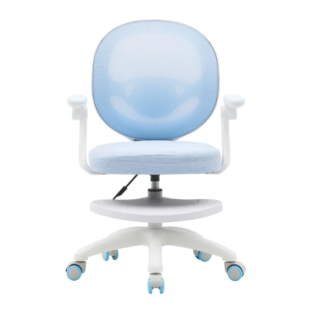 adjustable height mesh office chair ergonomic study chair with footrest,adjustable height mesh office chair ergonomic study chair with footrest,DAILY UP FURNITURE-The professional supplier of School Furniture, Office Furniture, Home Furnirure