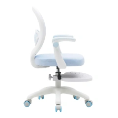 adjustable height mesh office chair ergonomic study chair with footrest,adjustable height mesh office chair ergonomic study chair with footrest,DAILY UP FURNITURE-The professional supplier of School Furniture, Office Furniture, Home Furnirure