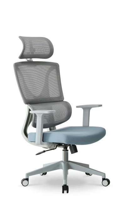 Adjustable High-Back Mesh Office Chair Office Swivel Lift Chair ergonomic office chair,Adjustable High-Back Mesh Office Chair Office Swivel Lift Chair ergonomic office chair,DAILY UP FURNITURE-The professional supplier of School Furniture, Office Furniture, Home Furnirure