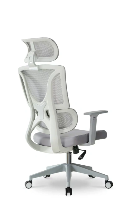 Adjustable High-Back Mesh Office Chair Office Swivel Lift Chair ergonomic office chair,Adjustable High-Back Mesh Office Chair Office Swivel Lift Chair ergonomic office chair,DAILY UP FURNITURE-The professional supplier of School Furniture, Office Furniture, Home Furnirure