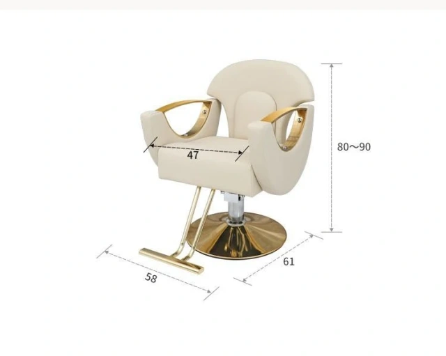 Salon Chair Hair dressing Special High-grade Durable Barber Chair Can Be Put Upside Down Barber Chair,Salon Chair Hair dressing Special High-grade Durable Barber Chair Can Be Put Upside Down Barber Chair,DAILY UP FURNITURE-The professional supplier of School Furniture, Office Furniture, Home Furnirure