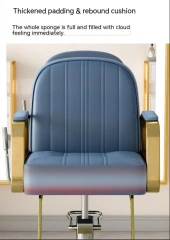 Adjustable height Hairdressing Salon chair Stylist Barber Chair Beauty Salon chair,Adjustable height Hairdressing Salon chair Stylist Barber Chair Beauty Salon chair,DAILY UP FURNITURE-The professional supplier of School Furniture, Office Furniture, Home Furnirure