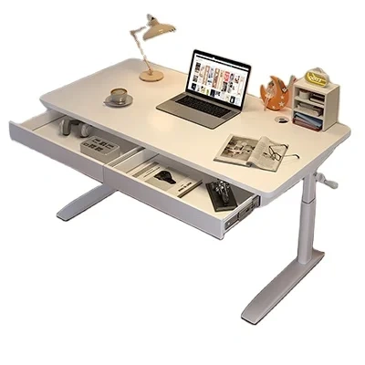 Elevated Computer Desk for Home Student Study Writing Desk study desk and chair,Elevated Computer Desk for Home Student Study Writing Desk study desk and chair,DAILY UP FURNITURE-The professional supplier of School Furniture, Office Furniture, Home Furnirure