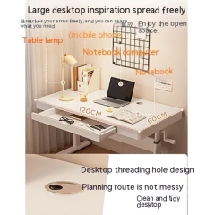 Elevated Computer Desk for Home Student Study Writing Desk study desk and chair,Elevated Computer Desk for Home Student Study Writing Desk study desk and chair,DAILY UP FURNITURE-The professional supplier of School Furniture, Office Furniture, Home Furnirure